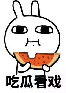 娱乐吃瓜酱蠢人,蠢人生涯的趣味解读